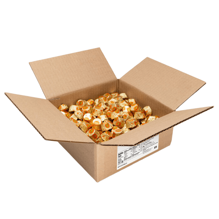 Caja de dulces miniaturas REESE'S Peanut Butter Cups de 5 lb